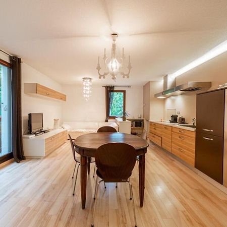Appartement Promenade Furnished Flat à Annecy Extérieur photo