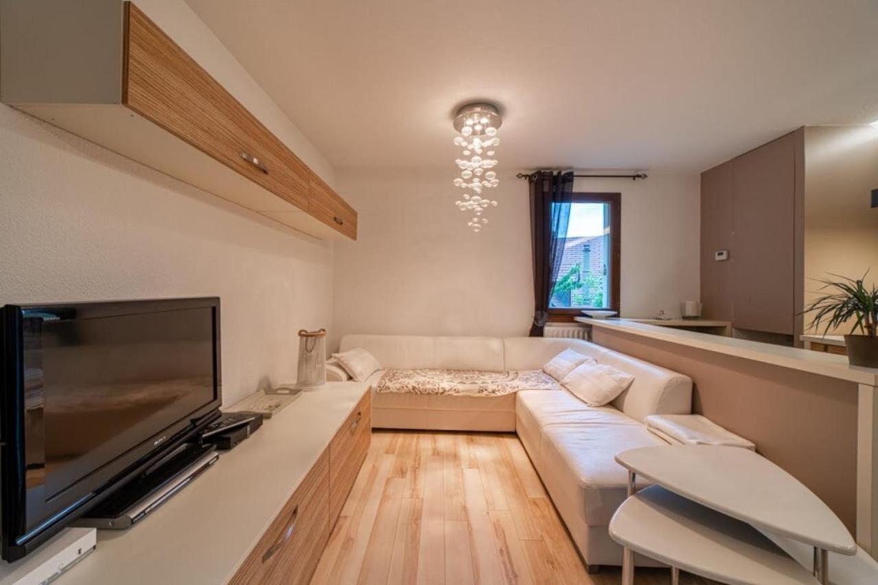 Appartement Promenade Furnished Flat à Annecy Extérieur photo