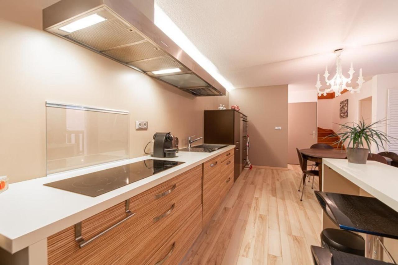 Appartement Promenade Furnished Flat à Annecy Extérieur photo